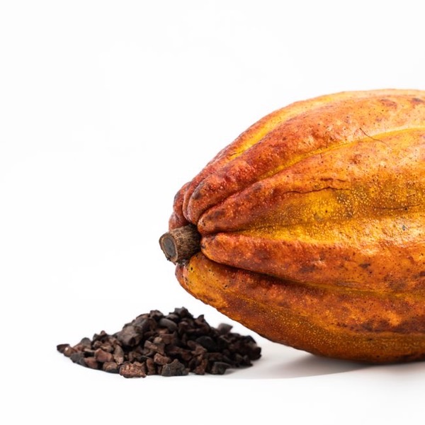 Cacao en poudre
