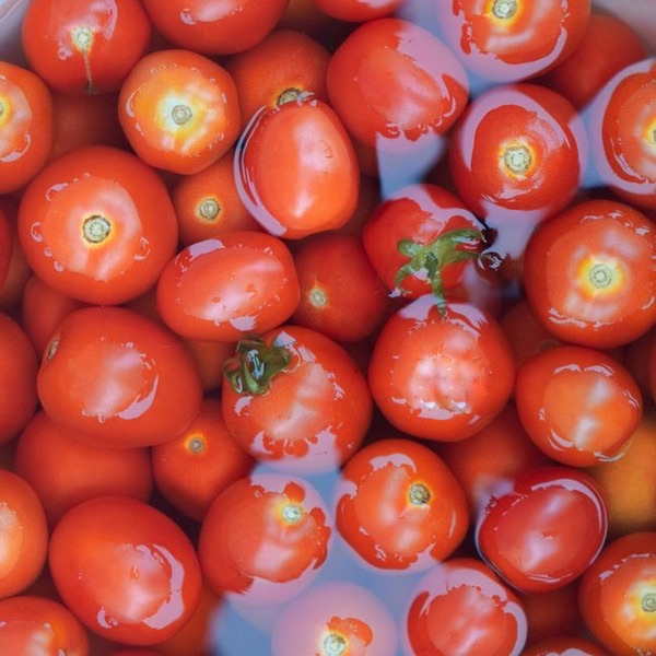 Concentré de tomate