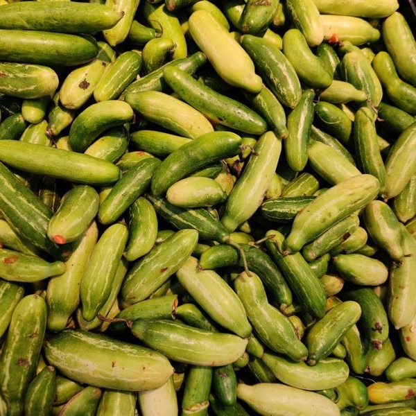 Cornichons