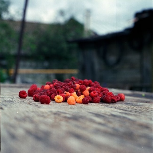 Framboise