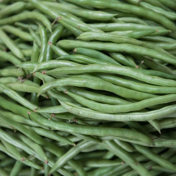 Haricot vert