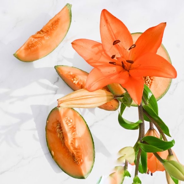 Melon