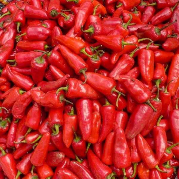 Paprika