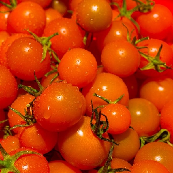 Tomate